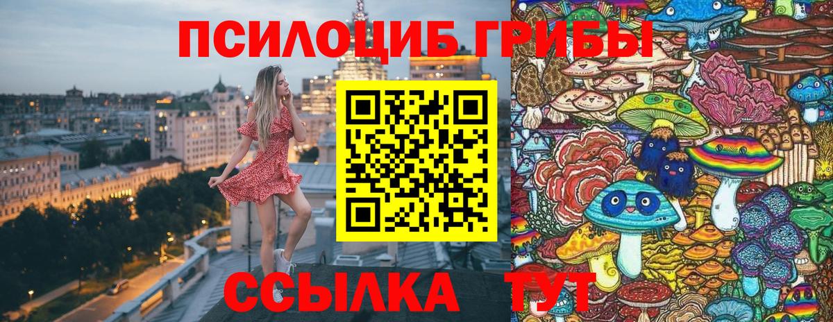 Галлюциногенные грибы мухоморы  Галлюциногенные грибы Cubensis  Вход с VPN  Будённовск 