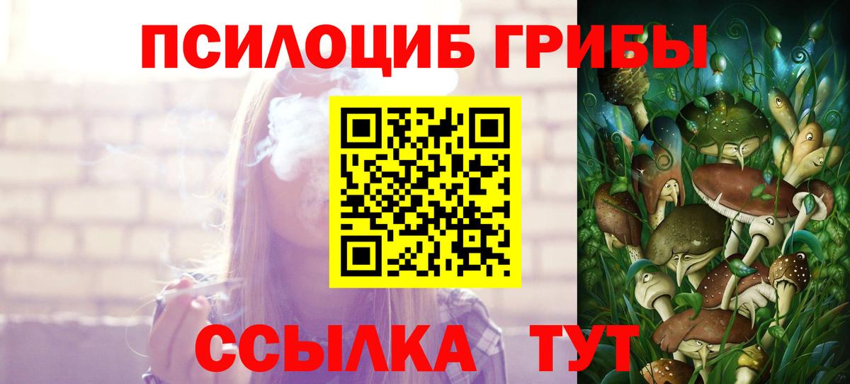 Галлюциногенные грибы ЛСД Будённовск