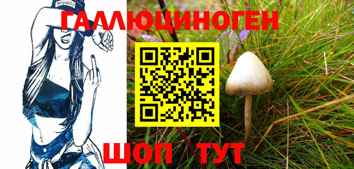 Конопля Будённовск